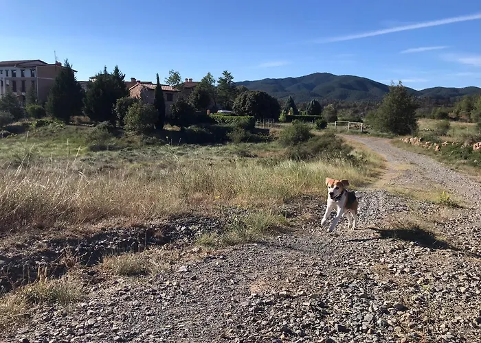 Oasis Rural