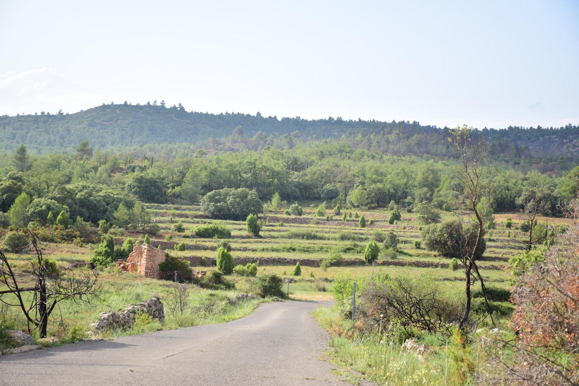 Hébergement de vacances Oasis Rural